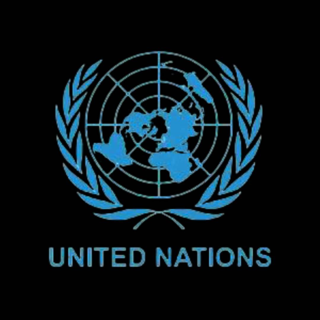 United Nations Peacekeeping Logo